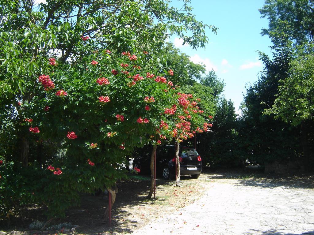 Apartments Grgorinic Pula Dış mekan fotoğraf